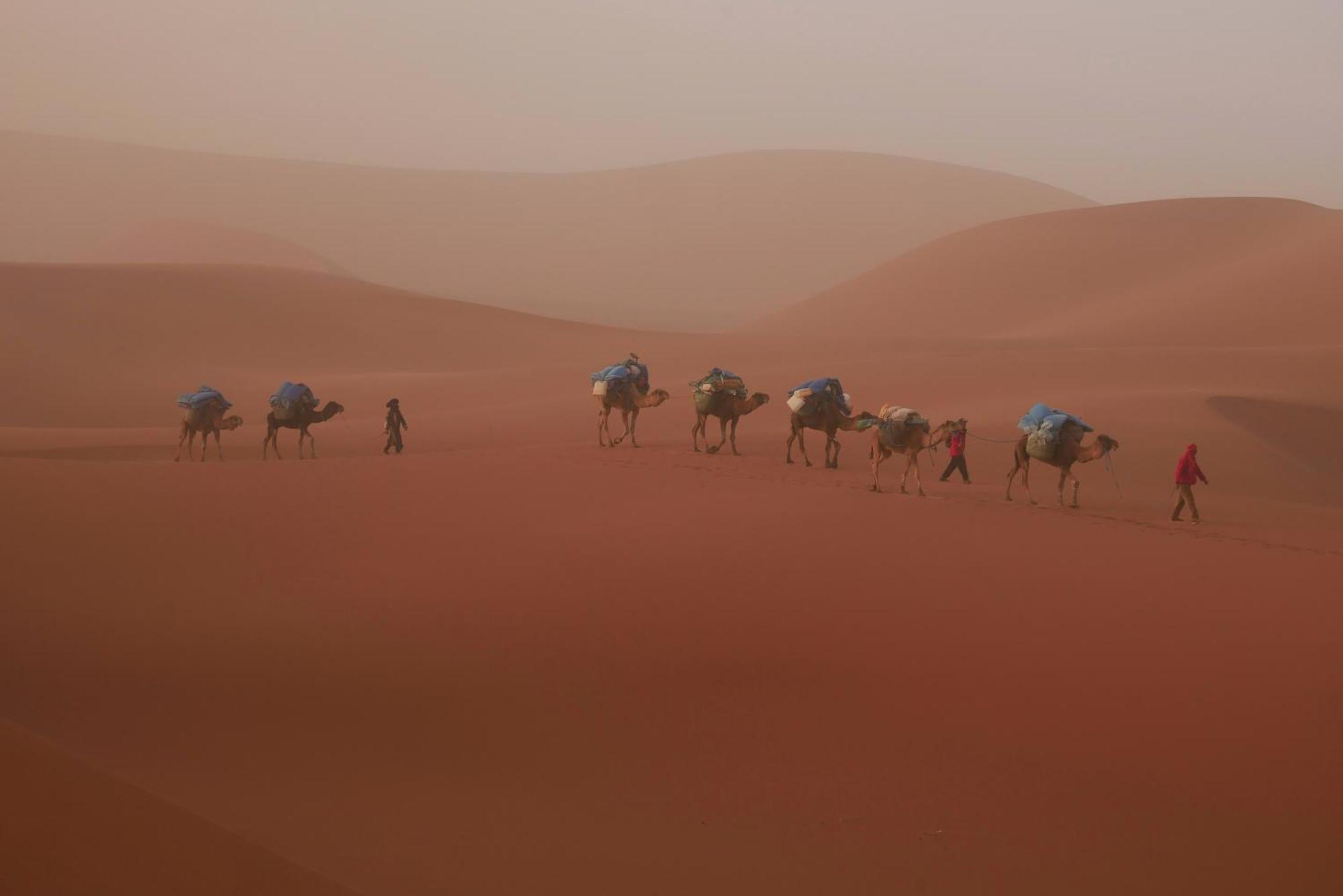 Jardin Du Desert M'Hamid Exterior photo