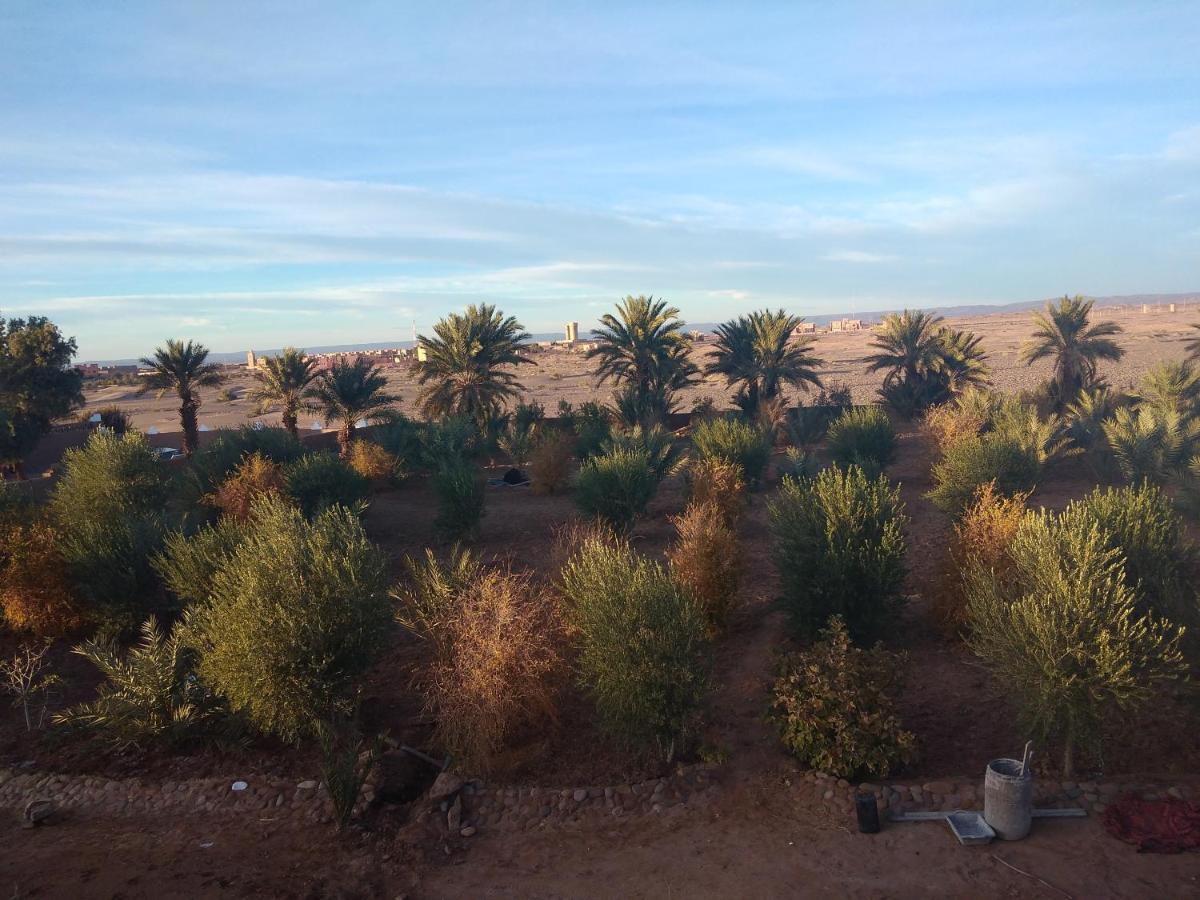 Jardin Du Desert M'Hamid Exterior photo